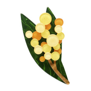 Golden Wattle Brooch - Australiana Aug 25 - Erstwilder