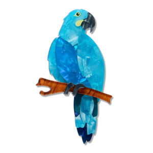 Glaucous Macaw Brooch - Rarest Kind April 26